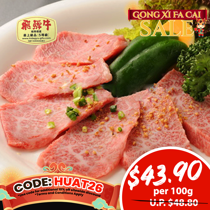 A5 CHAMPION HIDA Beef Super Premium Karubi (Sirloin/Ribeye) 100g