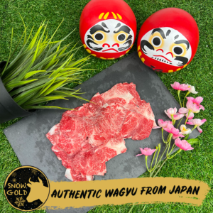 Wagyu Gyudon Chips