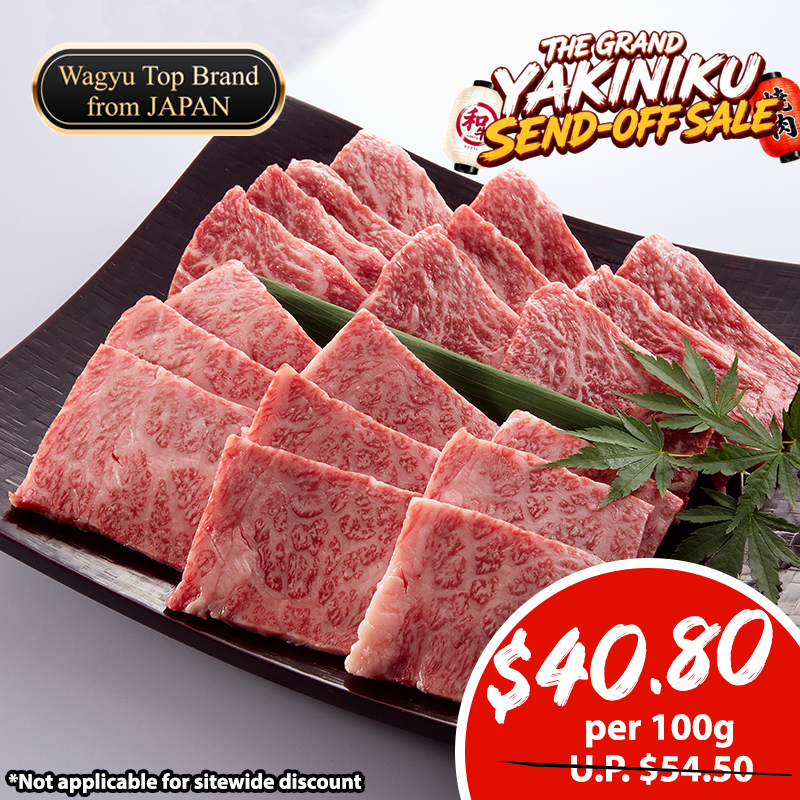 A5 Matsusaka Beef Super Premium Karubi (Sirloin/Ribeye) 100g